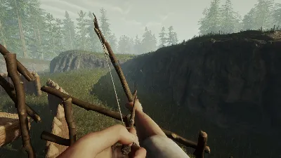 The Forest 💎 AUTODELIVERY STEAM GIFT INSTANTLY