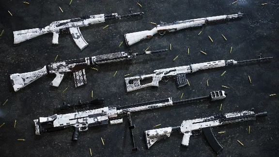 Insurgency: Sandstorm - Whiteout Weapon Skin Set DLC AUTODELIVERY STEAM RUSSIA