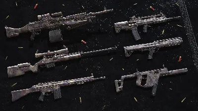 Insurgency: Sandstorm - Desert Veteran Weapon Skin Set DLC AUTODELIVERY STEAM РОССИЯ