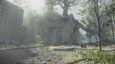 ✅❤️NIER: AUTOMATA BECOME AS GODS EDITION❤️XBOX🔑КЛЮЧ✅