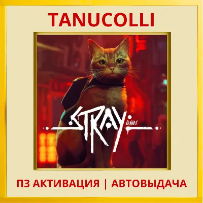 ☀️ Stray (PS4/RU) П3 - Активация