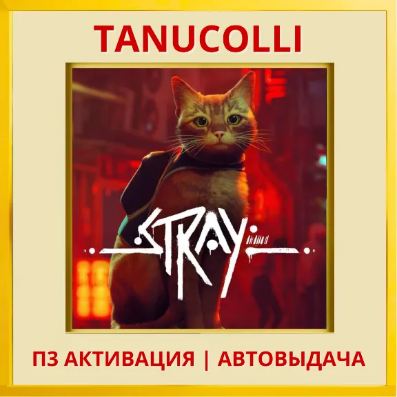 ☀️ Stray (PS4/RU) П3 - Активация