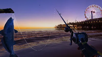 Real VR Fishing Quest Store Автодоставка 24/7
