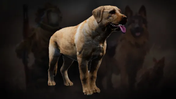 Icarus: Pet Companions Pack 💎 DLC STEAM GIFT RUSSIA