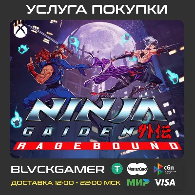 NINJA GAIDEN: Ragebound (XBOX) - Activation