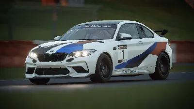 Assetto Corsa Competizione Challengers Pack DLC AUTODELIVERY STEAM РОССИЯ