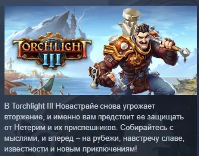 Torchlight 3 III АВТОДОСТАВКА STEAM GLOBAL МГНОВЕННО ЛИЦЕНЗИЯ