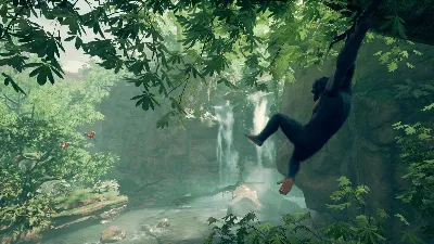 ⚫Ancestors: The Humankind Odyssey Steam Ключ РФ+СНГ