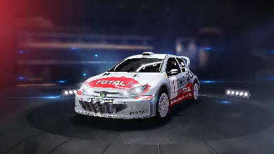 WRC Generations - Peugeot 206 WRC 2002 💎DLC STEAM GIFT