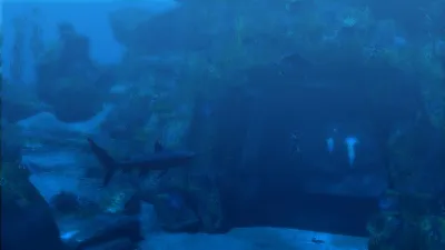 ⚫Tomb Raider: Underworld Steam Ключ РФ+Мир +Бонус