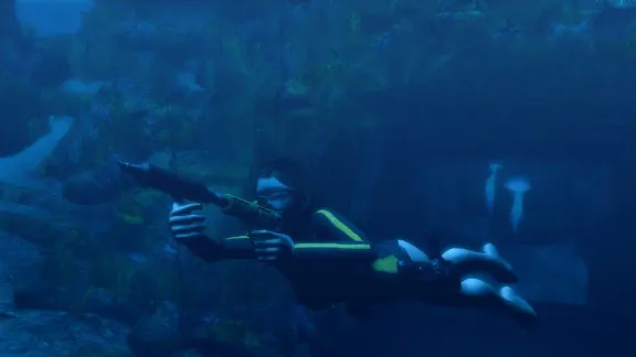 ⚫Tomb Raider: Underworld Steam Ключ РФ+Мир +Бонус