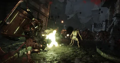 Warhammer: End Times - Vermintide Collector&acute;s Edition АВТОДОСТАВКА STEAM GLOBAL