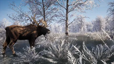 ⚡КЛЮЧ СРАЗУ БЕЗ СМЕНЫ IP / Medieval Dynasty / XBOX⚡