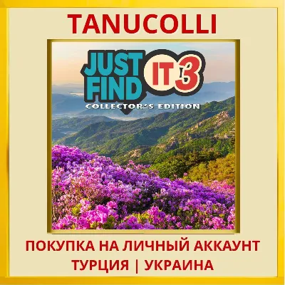 Just Find It 3 Collector&acute;s Edi... PS5/PS Турция/Украина