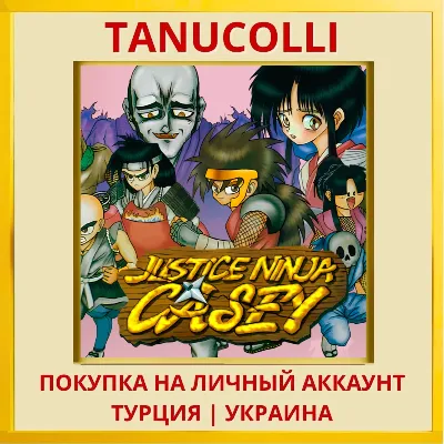 Justice Ninja Casey PS4/PS5/PS Turkey/Ukraine