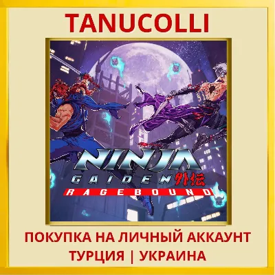 NINJA GAIDEN: Ragebound PS4/PS5/PS Turkey/Ukraine