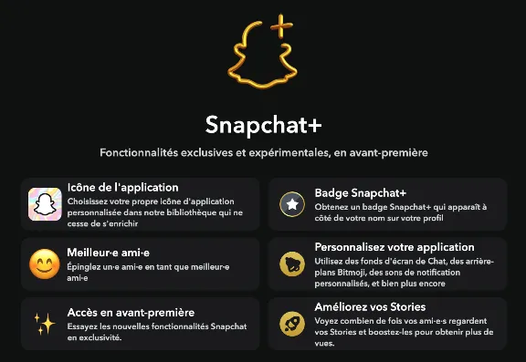 Подписка Snapchat+ Premium на 3, 6 и 12 месяцев в подар