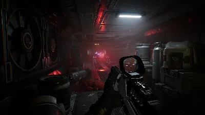 Species: Unknown +ВЫБОР STEAM•RU ⚡️АВТОДОСТАВКА 💳0%