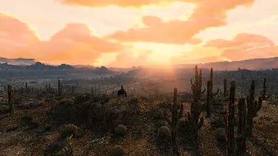 RED DEAD REDEMPTION 2025 XBOX КЛЮЧ/КОД