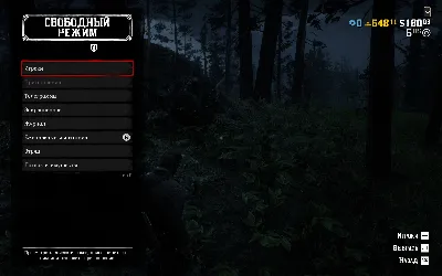RDO • УРОВЕНЬ ЗОЛОТЫЕ СЛИТКИ RED DEAD RDR
