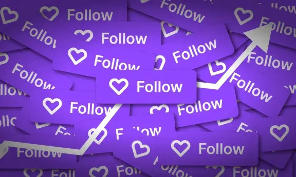 Twitch Followers \ Твич Фолловеры \ Настройки + Подарок