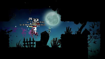 Ninja or Die: Shadow of the Sun - Steam Gift