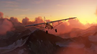 Microsoft Flight Simulator 40th Anniversary Deluxe Edition EG Xbox Series X|S / Windo