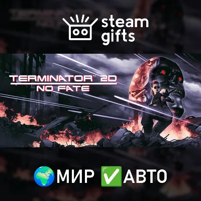 Terminator 2D: NO FATE МИР АВТО