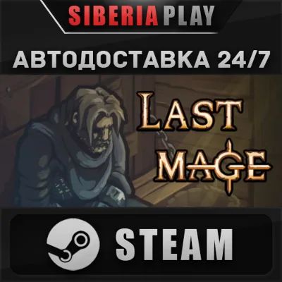 Last Mage STEAM AUTODELIVERY RU/KZ/UA/CIS