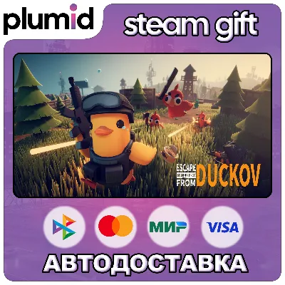Escape From Duckov Steam Gift / Россия + МИР / АВТО