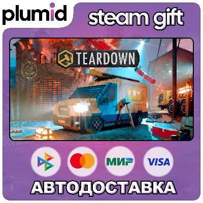 Teardown Steam Gift / Россия + МИР / АВТО
