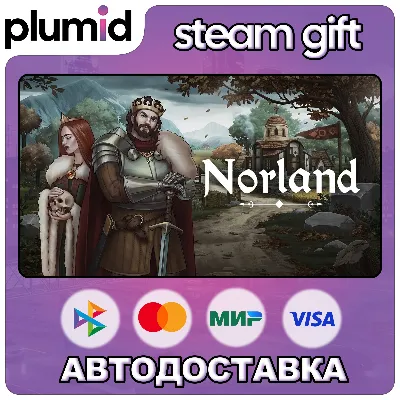 Norland Steam Gift / Россия + МИР / АВТО