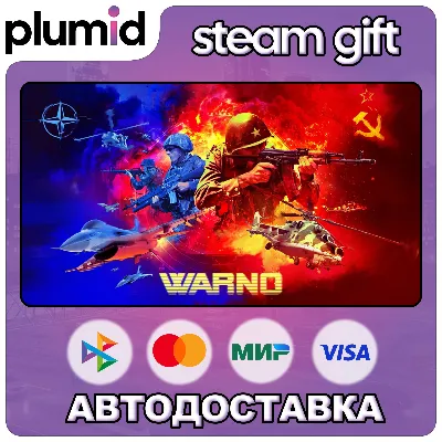 WARNO Steam Gift / Россия + МИР / АВТО