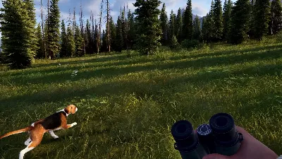 ️ALL COUNTRIES️ Way of the Hunter 2 STEAM GIFT