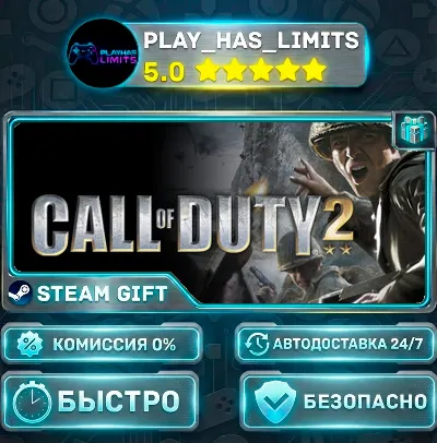 🎁Call of Duty 2 *RU/BY/UA/СНГ Steam Auto