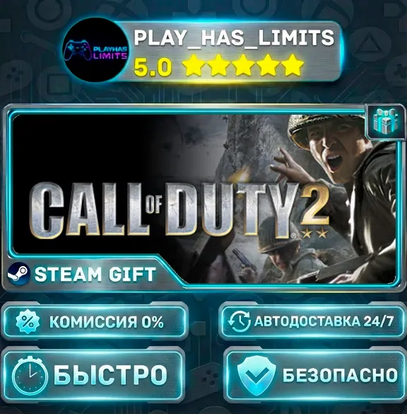 🎁Call of Duty 2 *RU/BY/UA/СНГ Steam Auto