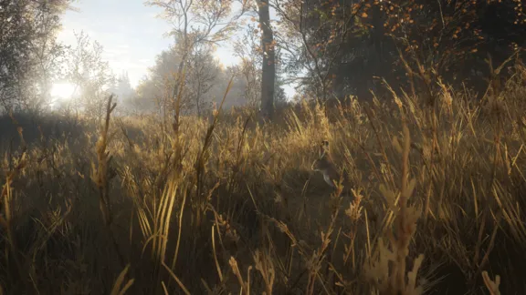 theHunter Call of the Wild STEAM КЛЮЧ РФ+МИР РУССКИЙ ЯЗЫК
