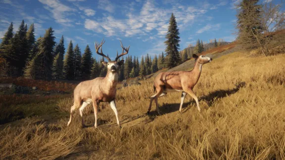 theHunter Call of the Wild STEAM КЛЮЧ РФ+МИР РУССКИЙ ЯЗЫК