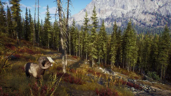 ✅❤️WAY OF THE HUNTER❤️XBOX|XS🔑КЛЮЧ✅