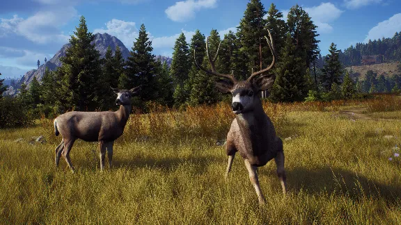 ✅❤️WAY OF THE HUNTER❤️XBOX|XS🔑КЛЮЧ✅