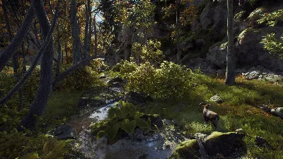 ✅❤️WAY OF THE HUNTER❤️XBOX|XS🔑КЛЮЧ✅