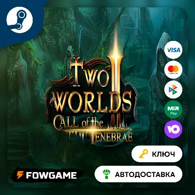 🔵 Two Worlds II HD - Call of the Tenebrae (RU+CIS) 🔑STEAM KEY