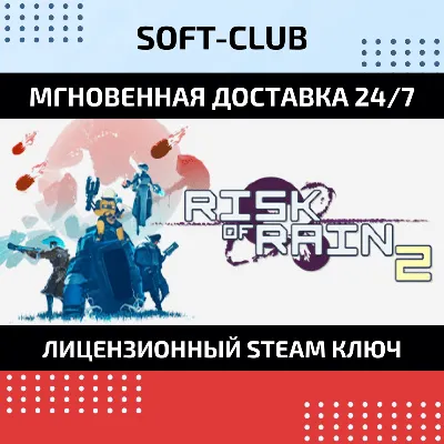 Risk of Rain 2 / Steam 🔴 NO COMMISSION