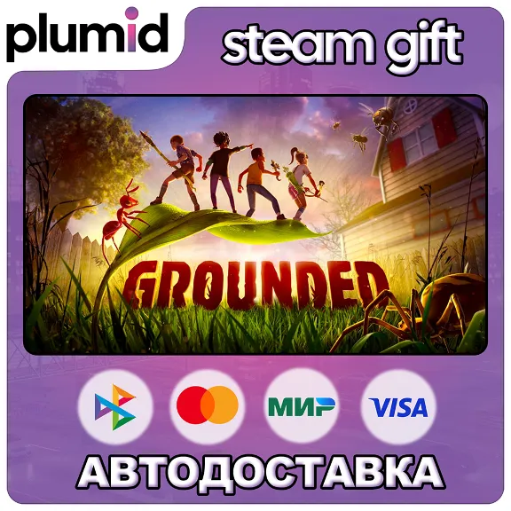 Grounded Steam Gift / Россия + МИР / АВТО