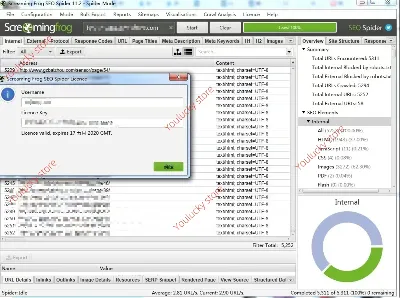 Screaming Frog SEO Spider 1 year 🎟️ License Key version 19.8