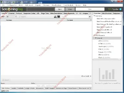 Screaming Frog SEO Spider 1 year 🎟️ License Key version 19.8