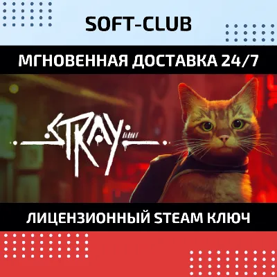 STRAY /  STEAM КЛЮЧ / РФ+СНГ