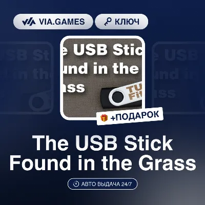 The USB Stick Found in the Grass (Steam Key) RU-CIS-WORLDWIDE + GIFT