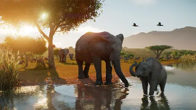 Planet Zoo 2 * ВЫБОР ВЕРСИИ * RU/KZ/СНГ/TR/CN/AR/IN/BR * STEAM 🚀 АВТОДОСТАВКА