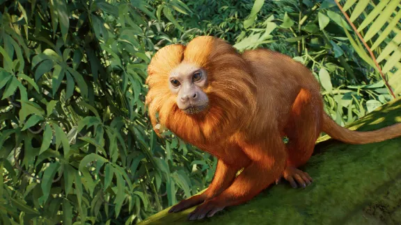 ✅❤️PLANET ZOO 2: DELUXE EDITION❤️XBOX|XS+PC WIN🔑КЛЮЧ✅